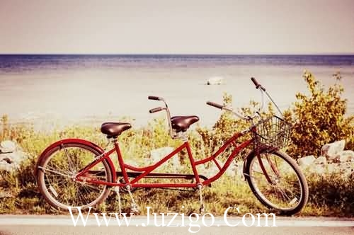 侄子结婚祝福语(精选20句)