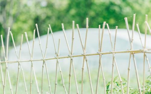 每日晨语清晨心语正能量