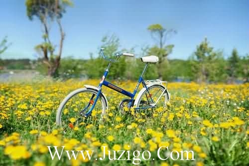 下午最美祝福语(精选26句)