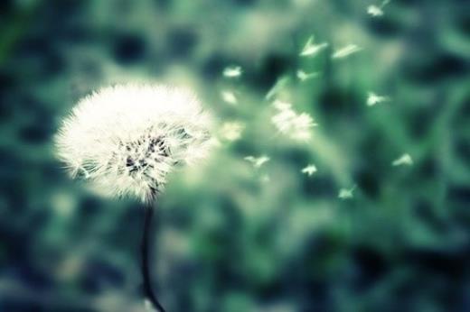 充满正能量的晚安心语