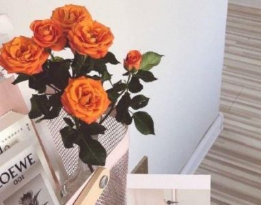 ​为明天而努力工作的励志句子38句