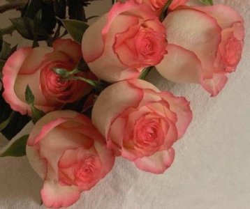 ​早安正能量语句36条