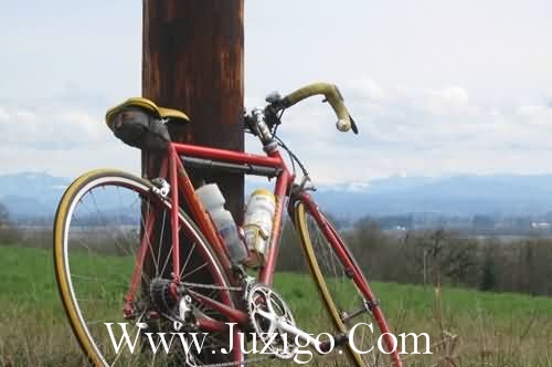 虎年新年祝福语四字顺口溜(精选31句)