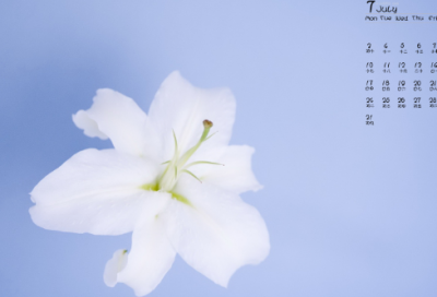 ​教师节祝福语大全感动