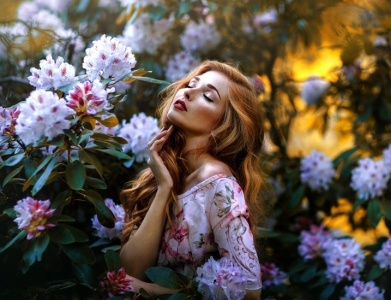 ​重阳节发朋友圈的精美句子简短