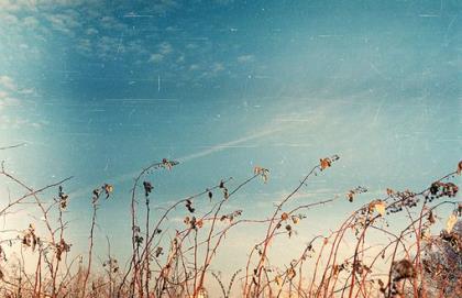 每天早晨励志的晨语