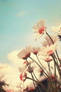 ​好听的晚安句子唯美短句子（好听的短句子十字以内唯美）