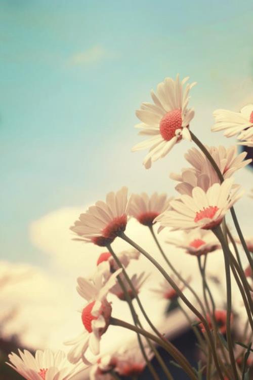 好听的晚安句子唯美短句子