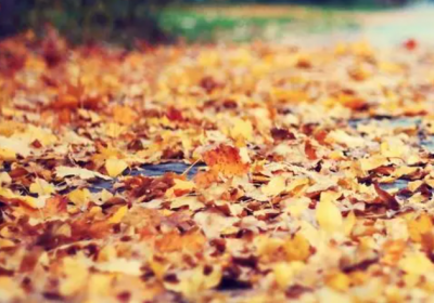 ​抖音励志话语短句 抖音最火的励志句子