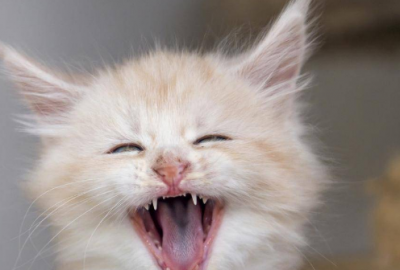 ​祝福结婚的话(精选20句)