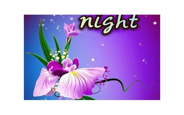 520祝福语情人短语 情人圣诞节祝福语短语[20句]