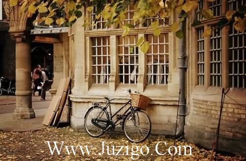 适合送老师元旦新年祝福语