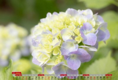 ​革命烈士诗歌优选87句