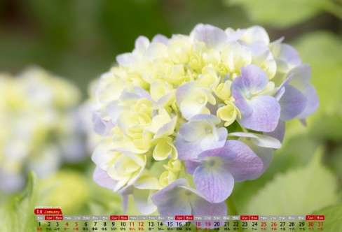 1710854968147340.png image.png