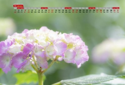 ​关于鱼字的古诗句