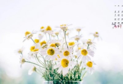 ​唯美浪漫的诗句大全优选92句