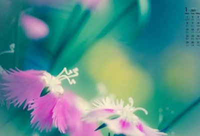 ​关于秋声的诗句怎么写