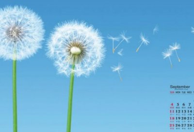 ​雨天赏荷花的诗句