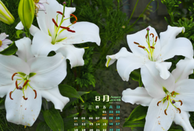 ​满月酒祝福语