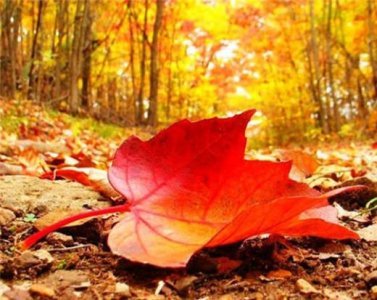 ​霸气语句图片简短 最经典玄幻霸气话语