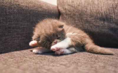 ​qq说说社会句子霸气（社会现实的经典句子）