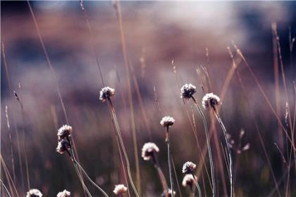 qq个性签名情侣霸气