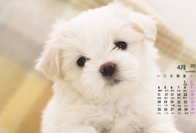 ​很丧却无关爱情的文案 很高级质感的微丧句子