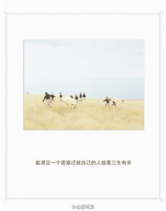 ​八个字激励短句（人生励志句子精辟）