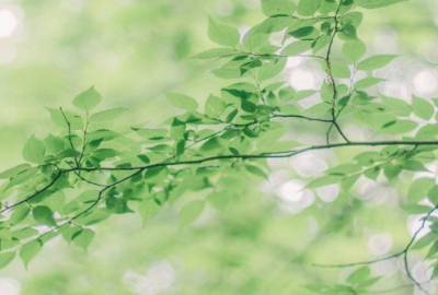 ​让男人心疼愧疚的说说 让对方看到伤心的哭的句子