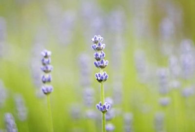 ​名著中的名言警句