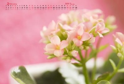 ​爱情名言警句摘抄大全