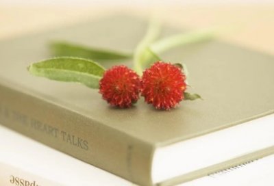 ​有关于勇敢、勇气的名人名言