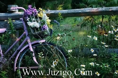 2025年祝福中考成功的话52句