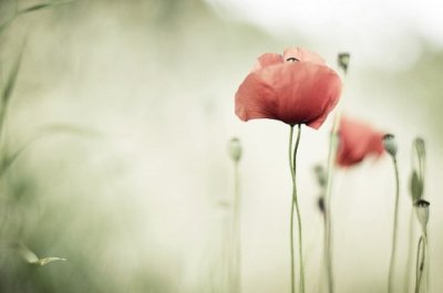 ​2025年正能量句子58句