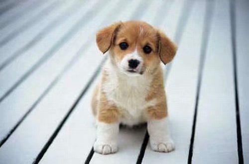 伤感句子看完哭了的那种