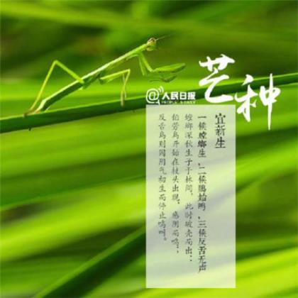 qq伤感说说大全长篇