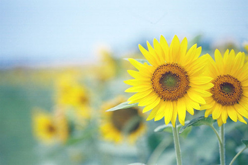 男生伤感长段性说说43句