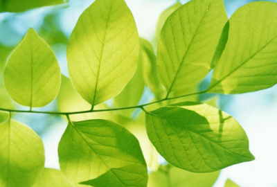 ​又雷人又搞笑幽默的qq个性qq空间说说