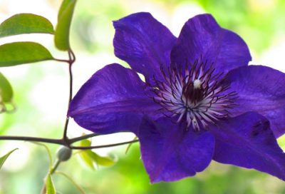 ​美食的句子发朋友圈搞笑-61句