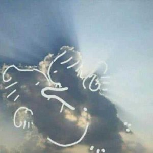 ​发亲子照片配的说说(社会说说励志霸气图片)