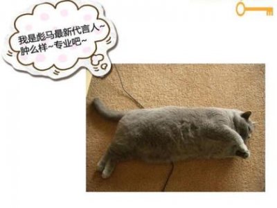 ​期末考试简短霸气誓词(高考百日誓师誓词简短)