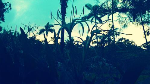 霸气超拽超有范的句子（霸气的句子超拽霸气）