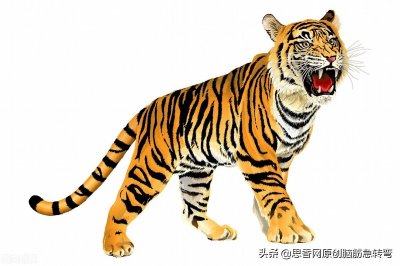 搞笑谜语：四脚落地，嘴巴朝天，肚里打雷，屁股冒烟（打一物）