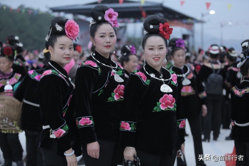 「组图」苗族的芦笙会,你参加过吗?