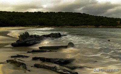 ​阔别造句和解释_阔别的例句有哪些 - 小孩子点读