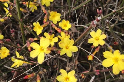 ​立春的习俗和意义