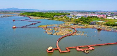 ​夏日有清凉｜休闲度假去何处 人间仙境兴凯湖