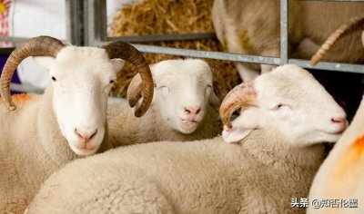 ​2021年在农村开这3种小厂子，不仅有“钱”景，而且投入少回本快