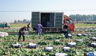 ​辛集，不一样的乡村奇迹