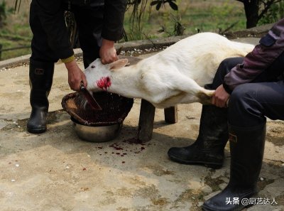 ​烧烤师傅分享新疆炭火烤全羊制作全过程，色泽红润、焦香扑鼻